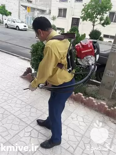 فروش علف زن پشتی در کرج در گروه علف تراش و علف زن در یکمیوه -عکس1