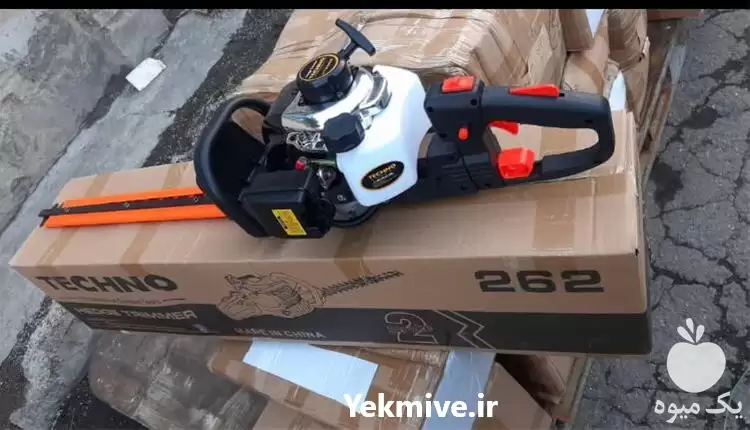 قیمت خرید شمشاد زن تکنو در گروه خرید و فروش شمشاد زن در یکمیوه -عکس1