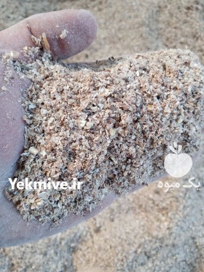 دان مرغ خوراک دام در گروه خوراک دام و طیور در یکمیوه -عکس1