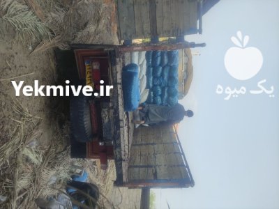 فروش ضایعات خرما در عنبرآباد در گروه خرید و فروش خرما در یکمیوه -عکس1