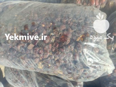 فروش ضایعات خرما در عنبرآباد در گروه خرید و فروش خرما در یکمیوه -عکس4