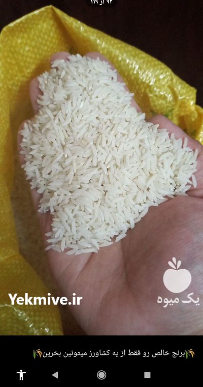 فروش برنج عنبر بو خالص معطر در یاسوج در گروه خرید و فروش برنج در یکمیوه -عکس2