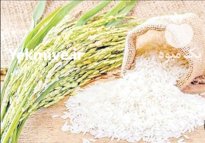 فروش برنج عنبر بو خالص معطر در یاسوج در گروه خرید و فروش برنج در یکمیوه -عکس1