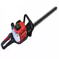 قیمت خرید شمشاد زن آگرو قیمت در گروه خرید و فروش شمشاد زن در یکمیوه