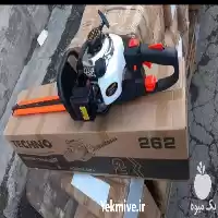 قیمت خرید شمشاد زن تکنو در گروه خرید و فروش شمشاد زن در یکمیوه