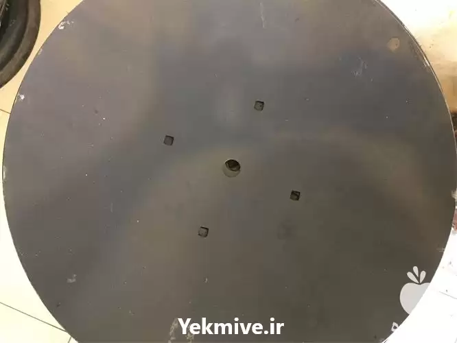 قیمت خرید پره مرزکش ایرانی در تهران در گروه خرید و فروش مرزکش در یکمیوه -عکس1