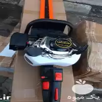 فروش شمشاد زن بنزینی در کرج در گروه خرید و فروش شمشاد زن در یکمیوه