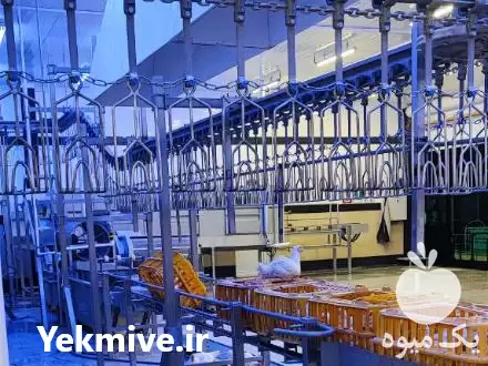 فروش طراح برق سیستم های کشتارگاه در اصفهان در گروه تجهیزات دامداری در یکمیوه -عکس1