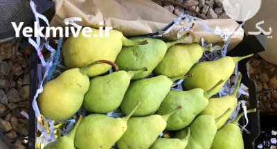 گلابی درجه یک صادراتی بسته بندی در تبریز در گروه خرید و فروش گلابی در یکمیوه -عکس2