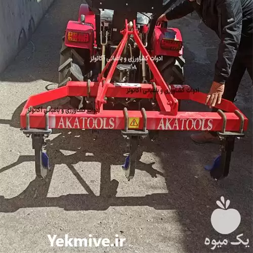 فروش چیزل پنج شاخه درجه یک در قزوین در گروه خرید و فروش چیزل در یکمیوه -عکس1