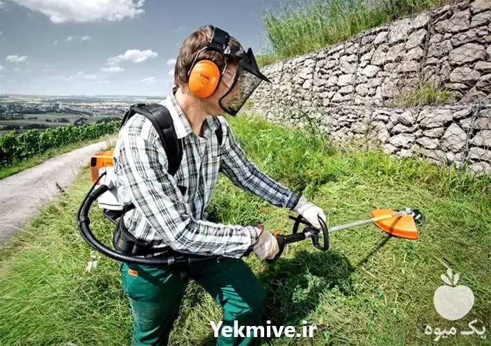 قیمت خرید علف زن علف تراش در ساری در گروه علف تراش و علف زن در یکمیوه -عکس1