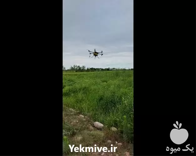 خدمات پهپاد کشاورزی کیا در گروه خدمات باغبانی در یکمیوه -عکس1