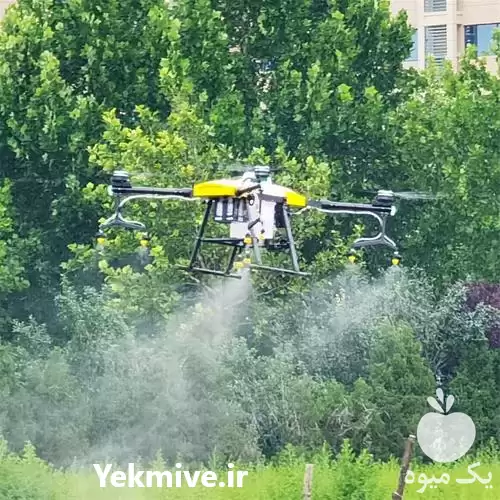 خدمات سمپاشی پهپاد کشاورزی کیا در گروه خدمات باغبانی در یکمیوه -عکس1