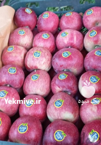 اجاره سیب رد و گلدن در گروه خرید و فروش سیب در یکمیوه -عکس2