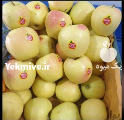 اجاره سیب رد و گلدن در گروه خرید و فروش سیب در یکمیوه -عکس2