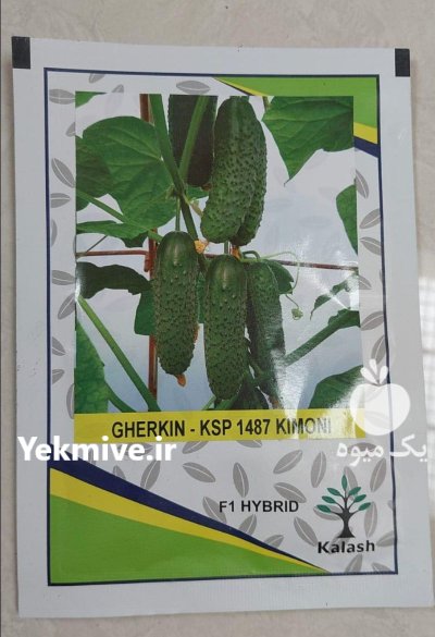 فروش انواع بذر هیبرید وارداتی در عنبرآباد در گروه خرید و فروش گوجه فرنگی در یکمیوه -عکس2