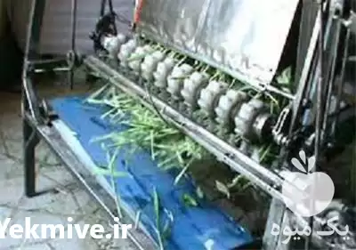 فروش قیمت دستگاه علوفه خردکن بزرگ در گروه خرید و فروش خردکن در یکمیوه -عکس1