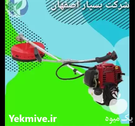 قیمت خرید علف زن دوشی در مشهد در گروه علف تراش و علف زن در یکمیوه -عکس1