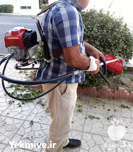 قیمت خرید علف زن در گروه علف تراش و علف زن در یکمیوه -عکس1