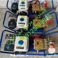 قیمت خرید سمپاش زنبه ای در تهران در گروه خرید و فروش موتور کشاورزی در یکمیوه