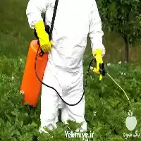 قیمت خرید سم پاش های دستی در گروه خرید و فروش سمپاش در یکمیوه