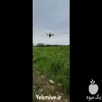 خدمات پهپاد کشاورزی کیا در گروه خدمات باغبانی در یکمیوه