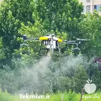 خدمات سمپاشی پهپاد کشاورزی کیا در گروه خدمات باغبانی در یکمیوه