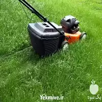 چمن زنی چمن زن در شیراز در گروه خدمات باغبانی در یکمیوه