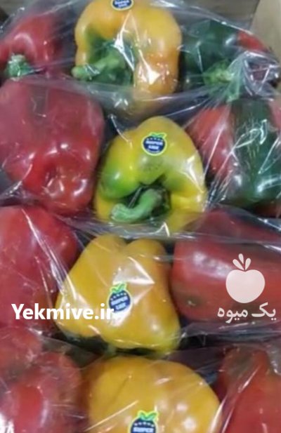 فروش فلفل دلمه ای در اصفهان در گروه خرید و فروش فلفل در یکمیوه -عکس2