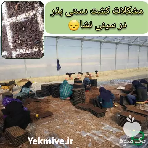 قیمت خرید دستگاه بذرکار در کرج در گروه خرید و فروش دستگاه نشا در یکمیوه -عکس1