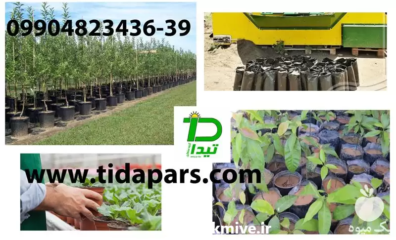 قیمت خرید گلدان پرکن گلخانه در کرج در گروه خرید و فروش تجهیزات گلخانه در یکمیوه -عکس1