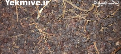 کشمش آفتابی در بوئین زهرا در گروه خرید و فروش آجیل در یکمیوه -عکس2