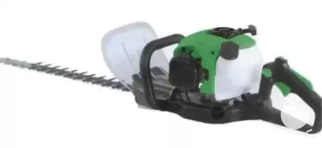 فروش شمشاد زن در گروه خرید و فروش شمشاد زن در یکمیوه -عکس1