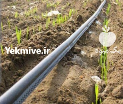 نوار تیپ در اصفهان نوار تیپ در گروه خرید و فروش نوار تیپ در یکمیوه -عکس4