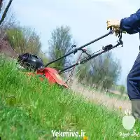 هرس کاری دستگاه هرس در گروه هرس کاری در یکمیوه