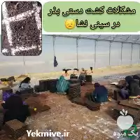 قیمت خرید دستگاه بذرکار در کرج در گروه خرید و فروش دستگاه نشا در یکمیوه