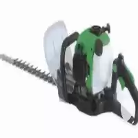 فروش شمشاد زن در گروه خرید و فروش شمشاد زن در یکمیوه