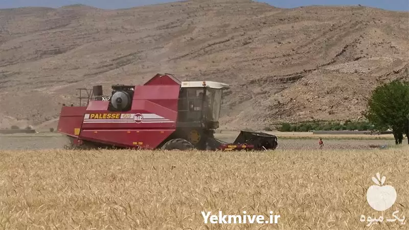 قیمت خرید ویژه کمباین سنگین غلات در شیراز در گروه خرید و فروش انواع کمباین در یکمیوه -عکس1
