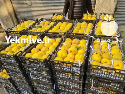 میوه به صادراتی اصفهان در اراک در گروه خرید و فروش میوه به در یکمیوه -عکس2