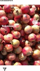 انار گل شیرین پوست نازک دان در گرگان در گروه خرید و فروش انار در یکمیوه