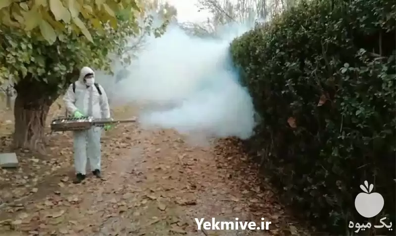 سم پاش فوگر حرارتی گلخانه ای در گروه خرید و فروش سمپاش در یکمیوه -عکس1