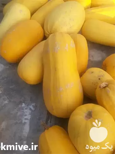 فروش سورتینگ تخم کدو گوشتی در تبریز در گروه خرید و فروش آجیل در یکمیوه -عکس1