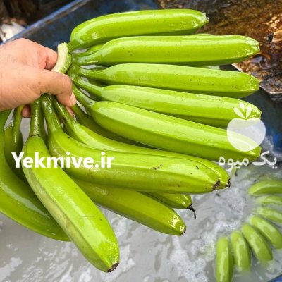 موز وارداتی از هندوستان در تهران در گروه خرید و فروش موز در یکمیوه -عکس1