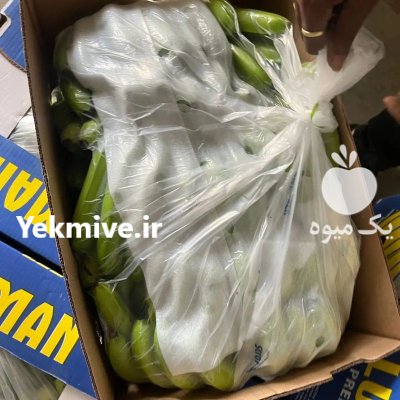 موز وارداتی از هندوستان در تهران در گروه خرید و فروش موز در یکمیوه -عکس3