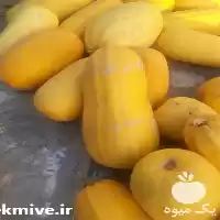 فروش سورتینگ تخم کدو گوشتی در تبریز در گروه خرید و فروش آجیل در یکمیوه