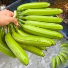 موز وارداتی از هندوستان در تهران