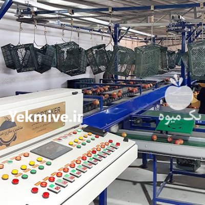 فروش دستگاه سورتینگزنی میوه در قائم شهر در گروه خرید و فروش دستگاه سورتینگ در یکمیوه -عکس1