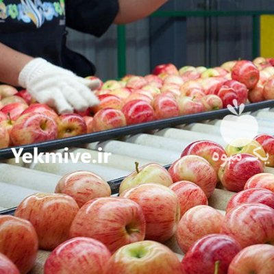 فروش دستگاه سورتینگزنی میوه در قائم شهر در گروه خرید و فروش دستگاه سورتینگ در یکمیوه -عکس2