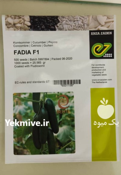 فروش بذر خیار هیبرید فادیا انزازادن در کرج در گروه خرید و فروش بذر خیار در یکمیوه -عکس1