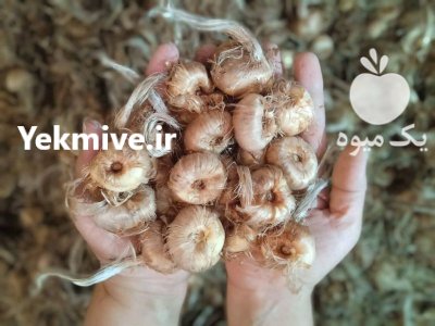 فروش زعفران و پیاز زعفران در خوی در گروه خرید و فروش زعفران در یکمیوه -عکس2